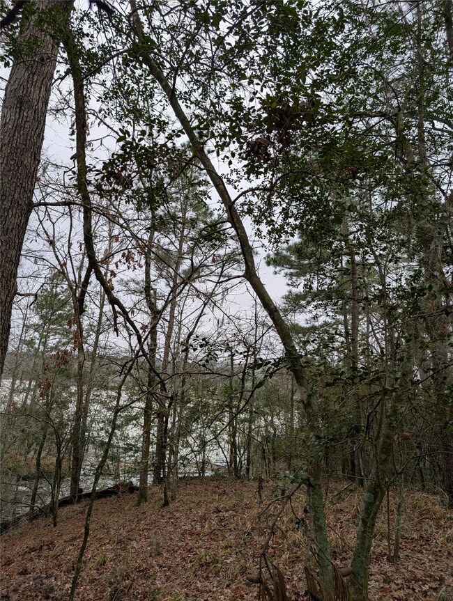 Lake view from the back of the property