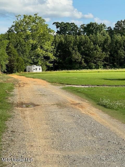 2645 Odom Rd, Hernando, MS 38632 - photo 4