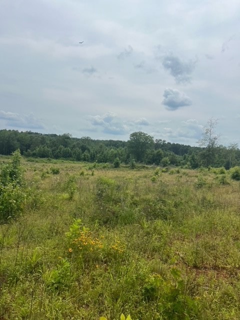 View of undeveloped land featuring rural landscape