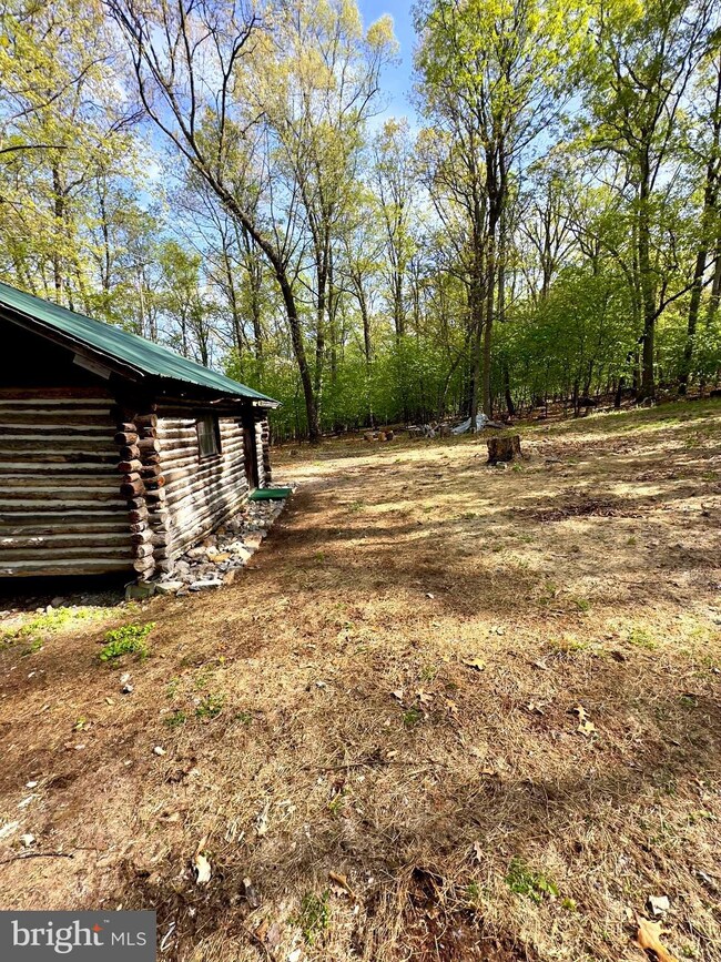 1765 Peters Mountain Ln, Upper Tract, WV 26866 - photo 7