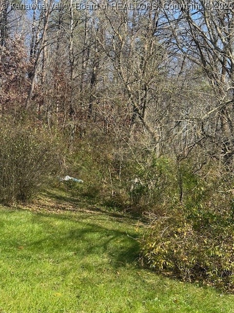 0 Kay Neva Ln, Charleston, WV 25312 - photo 7