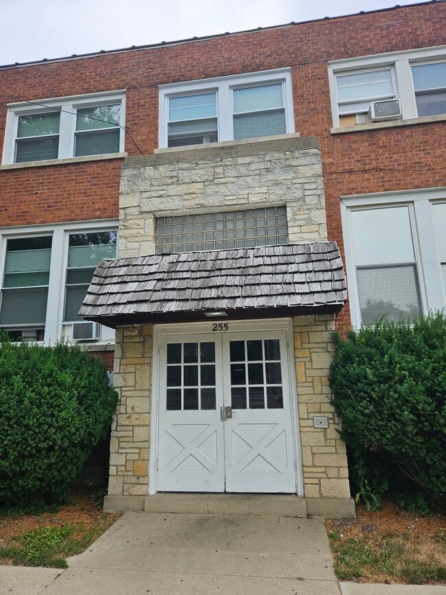 255 N Spring St unit 4, Elgin, IL 60120 - photo 2