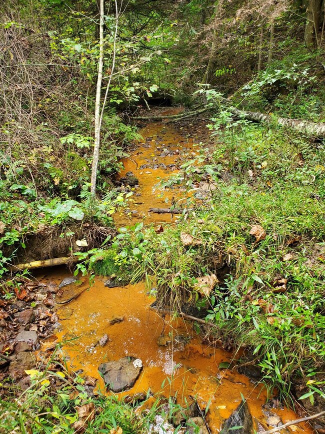 Creek