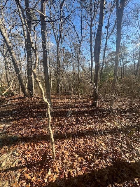 0 Maple St, Barnstable, MA 02668 - photo 4