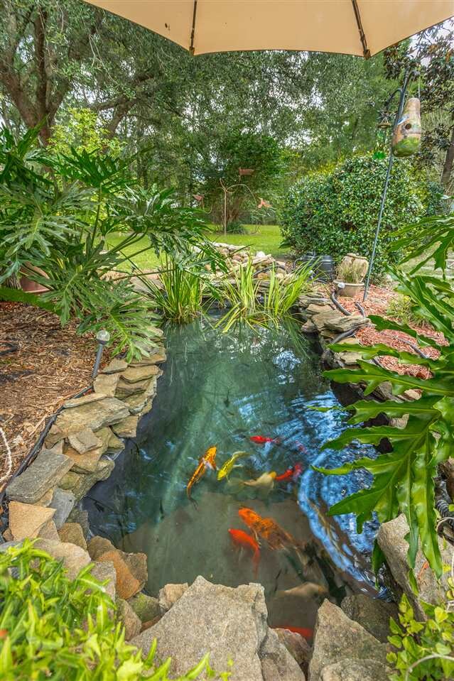 56 Jasmine Dr, Crawfordville, FL 32327 - photo 2