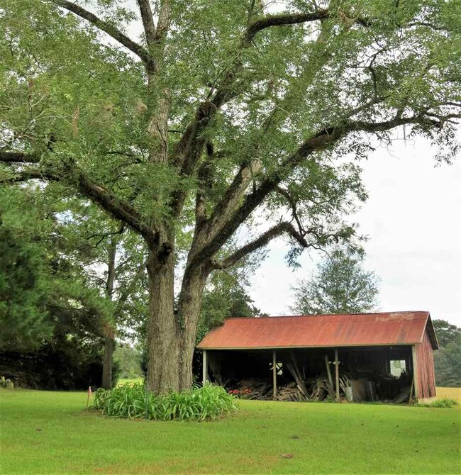 1687 Concord Bainbridge Rd, Havana, FL 32333 - photo 3