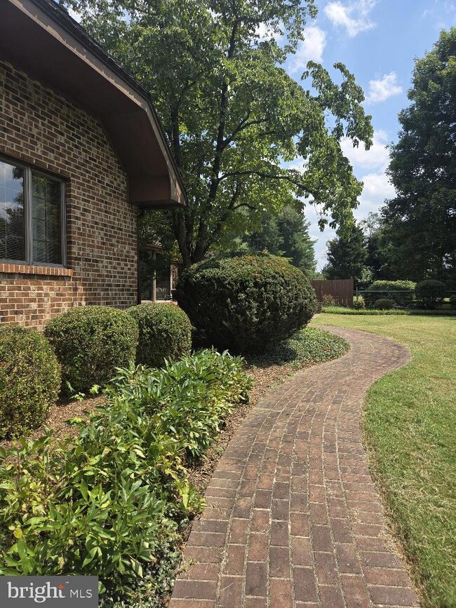 5412 River Rd, Fredericksburg, VA 22407 - photo 5