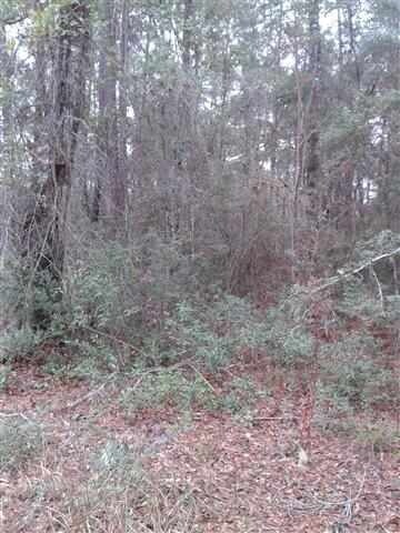 0 Westmarch unit 1 285779, Crawfordville, FL 32327 - photo 2