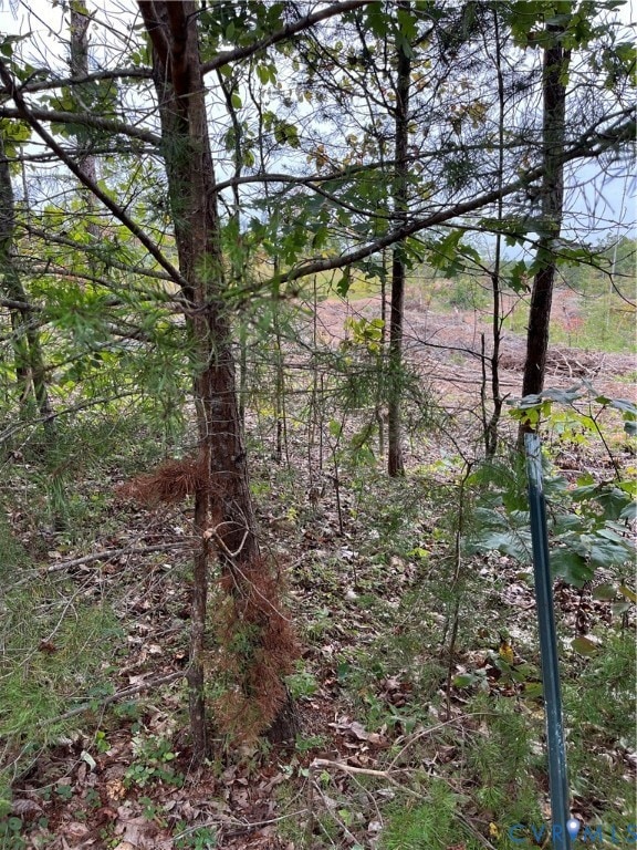 0027 Aspen Grove Rd, Buckingham, VA 23901 - photo 4