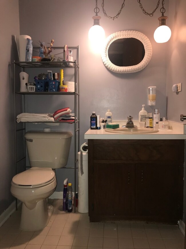 4335 Applewood Ln, Matteson, IL 60443 - photo 7