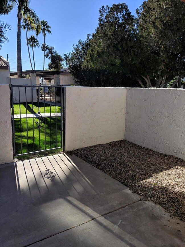 Patio 1