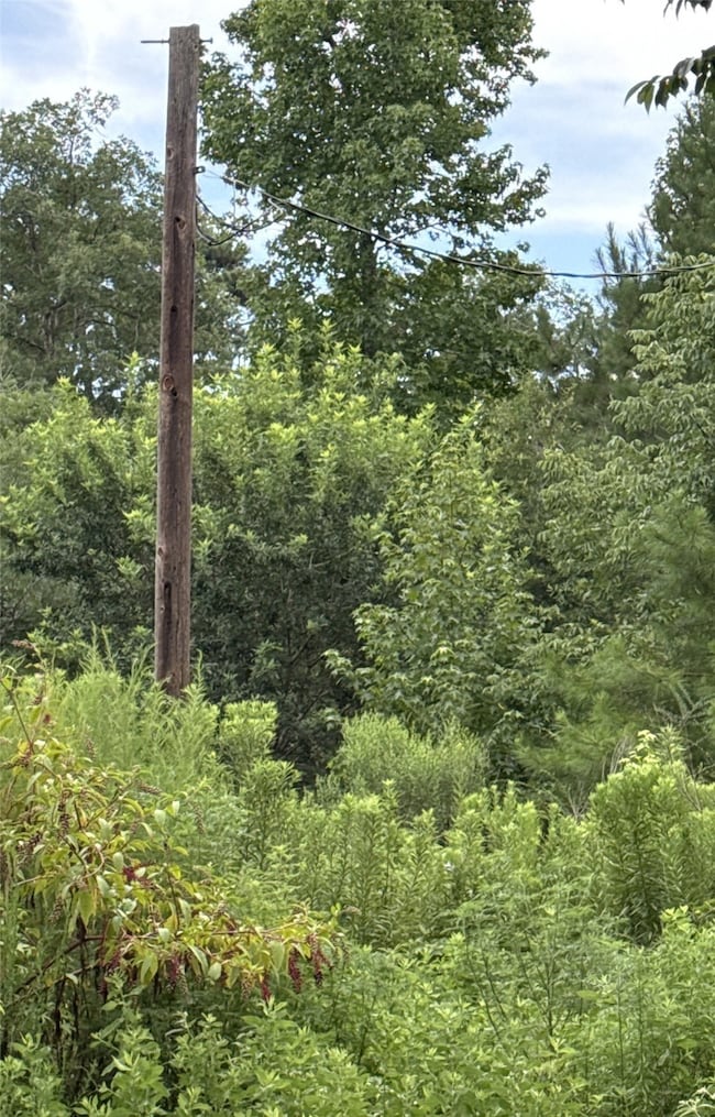 This electric pole with an active meter is on the