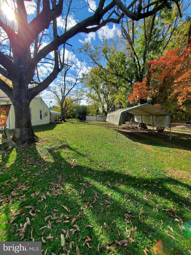 406 Robinson Ave, Cambridge, MD 21613 - photo 6