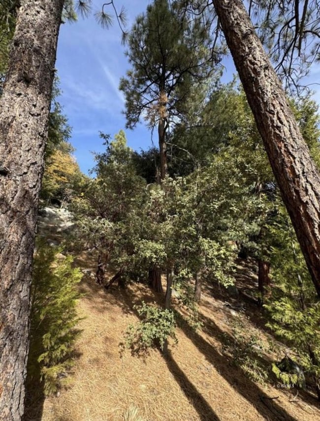 53642 Jeffery Pine Rd, Idyllwild-Pine Cove, CA 92549 - photo 2