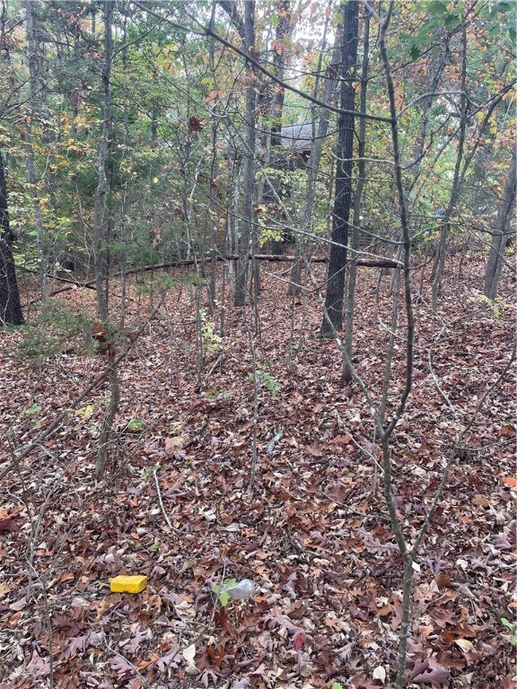 0 Grace Ln, Bella Vista, AR 72715 - photo 2