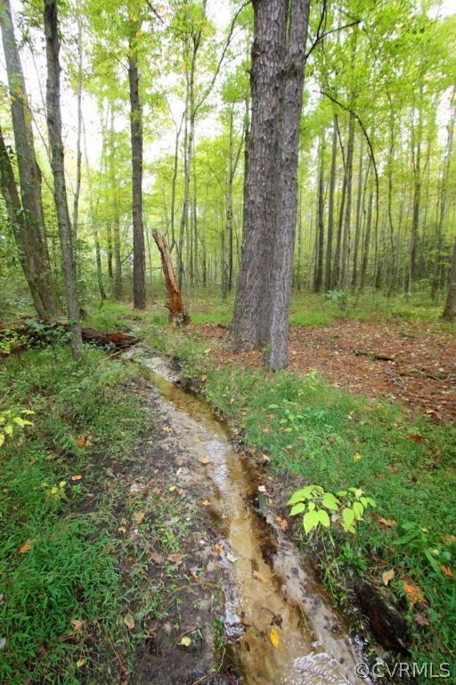 0 Vfw Rd unit 1528681, King William, VA 23181 - photo 2