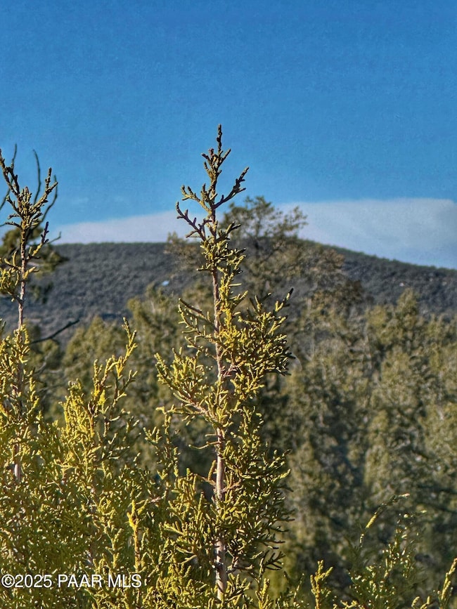 01 N Boulder Ridge, Seligman, AZ 86337 - photo 5