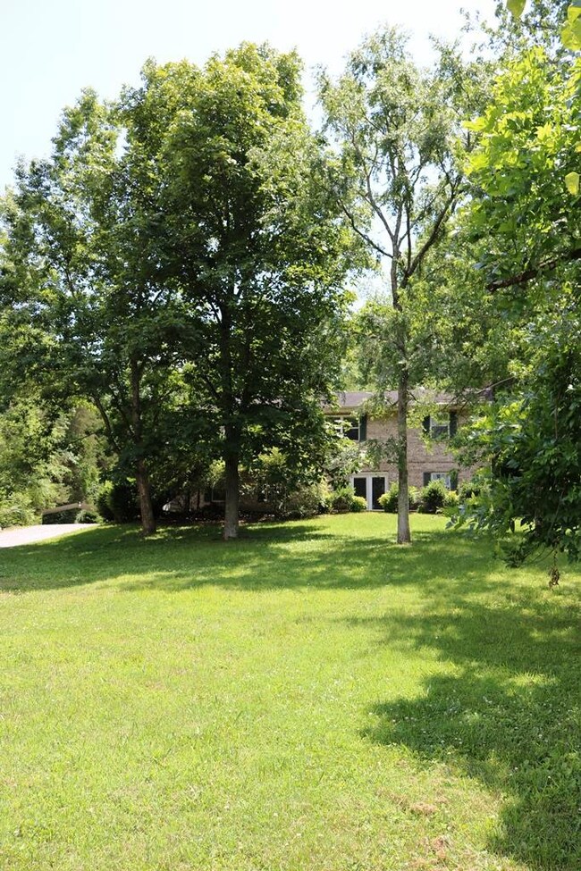 This beautiful front yard is level and filled with patches of mature trees.