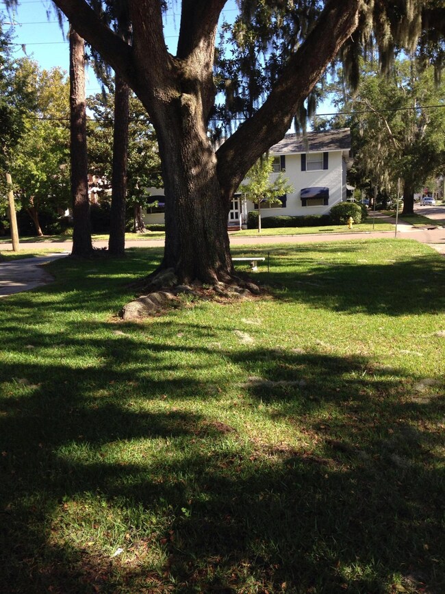 1753 Dancy St, Jacksonville, FL 32205 - photo 3