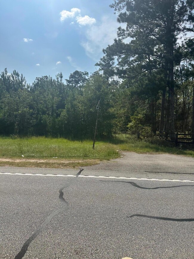 000 Wrens Hwy, Thomson, GA 30824 - photo 3