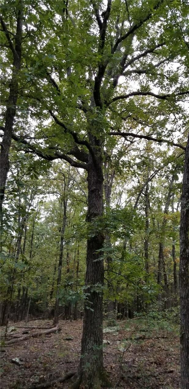 TBD (77 ac. mol) Centerpoint Church Rd, Prairie Grove, AR 72753 - photo 2