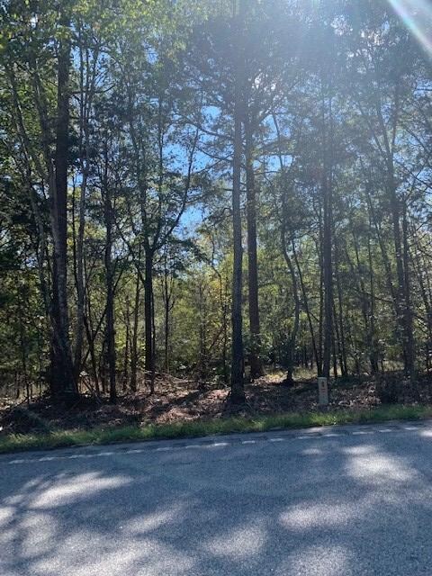 0 Highway 76 unit 121989, Honea Path, SC 29657 - photo 3