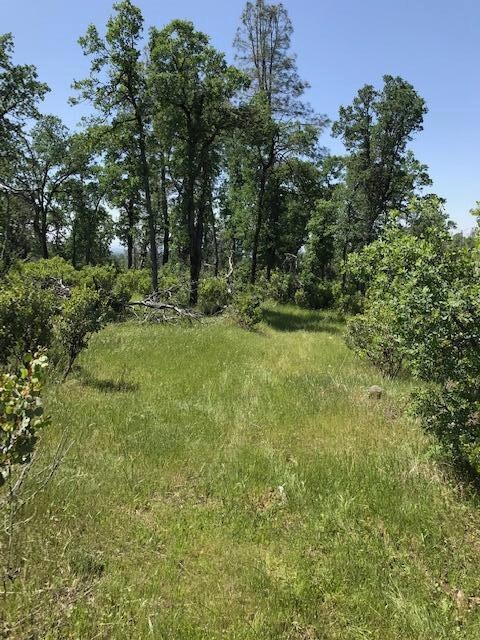 291 Ac Property 3