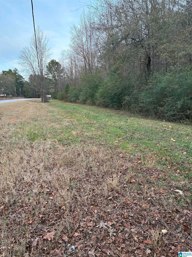 0 Alabama 160 unit 21437600, Hayden, AL 35079 - photo 4
