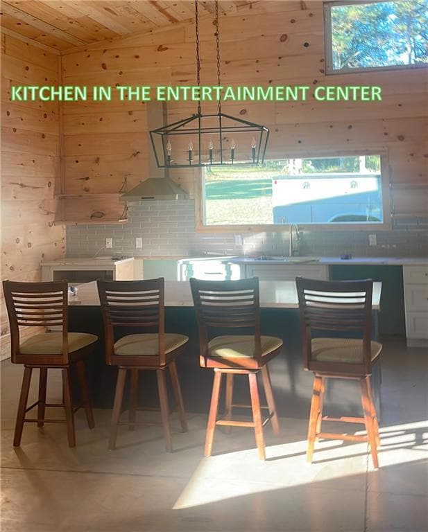 Kitchen in the entertainment center