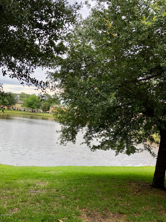 7825 Playpen Ct, Jacksonville, FL 32210 - photo 2