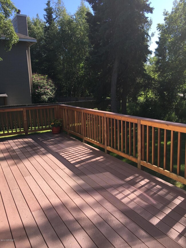 Trex deck