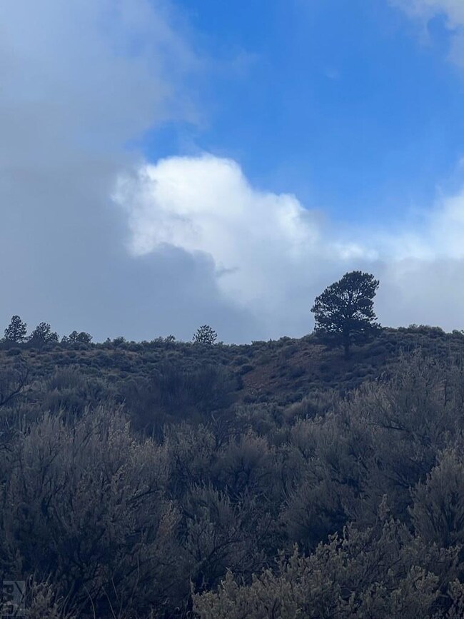 232 0, Fort Garland, CO 81133 - photo 6