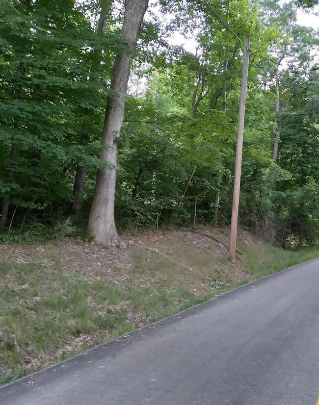 HHKY II - Lot 3 tree
