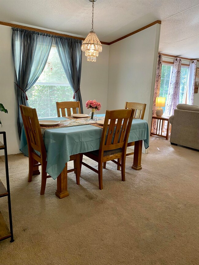 19 Atkinson Rd, Crawfordville, FL 32327 - photo 7