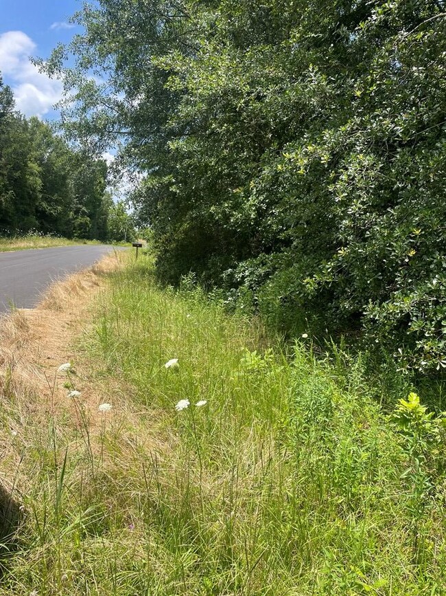 96 Deacon Rd, Calhoun Falls, SC 29628 - photo 5