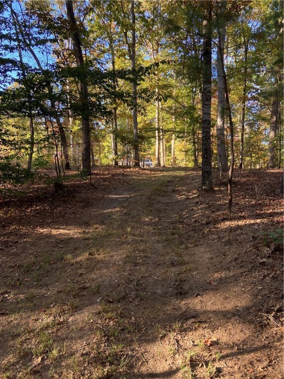 Path looking towards Road