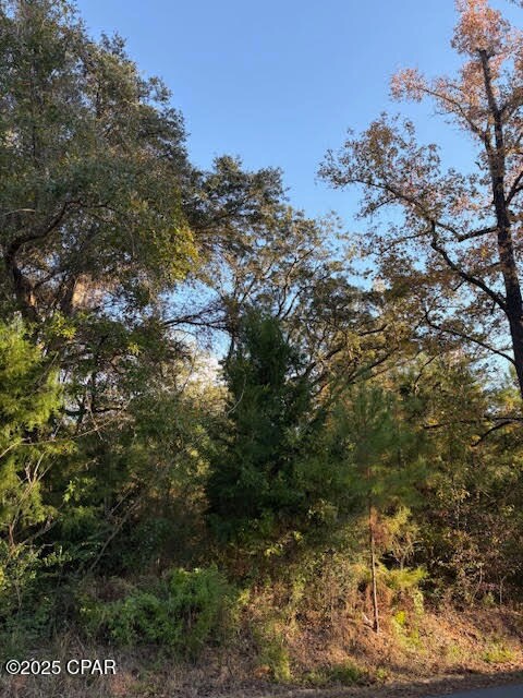 3389 Gainer Rd, Chipley, FL 32428 - photo 4