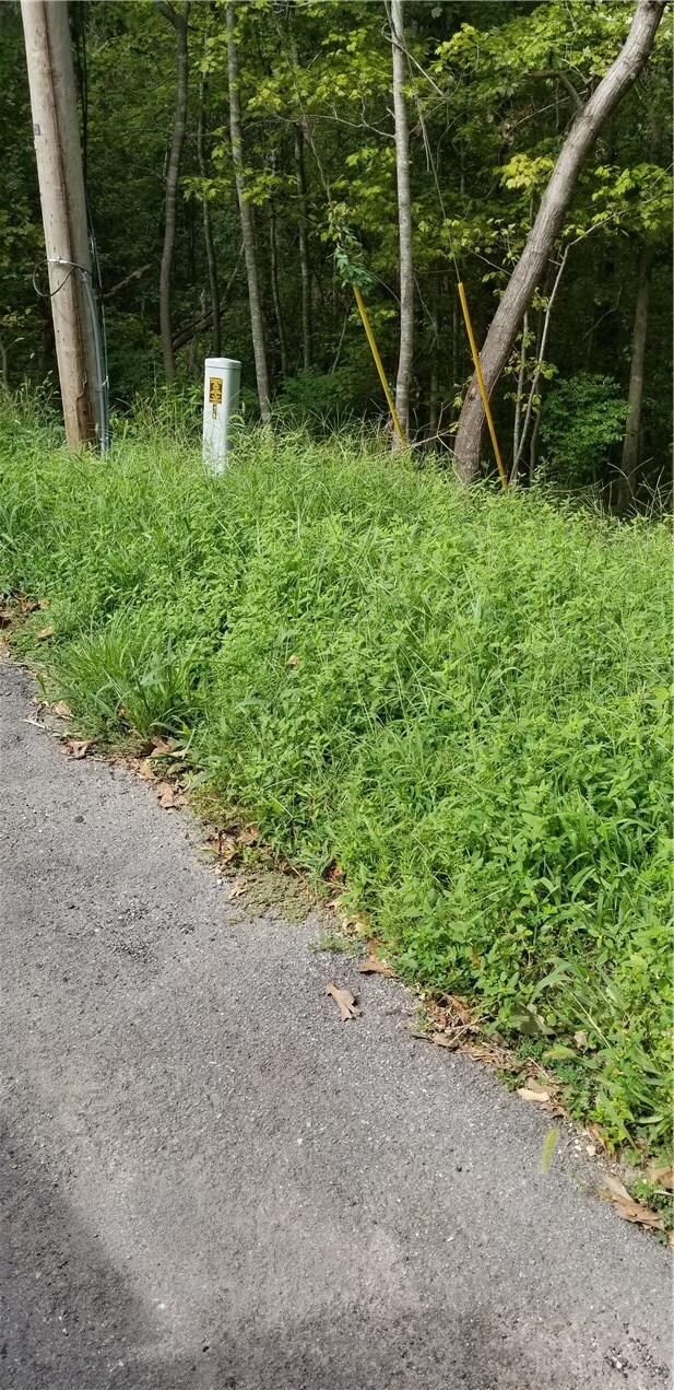 8 Weston Ln, Bella Vista, AR 72715 - photo 4