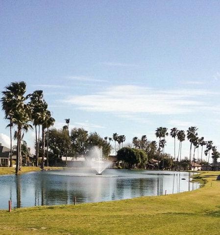 213 Karen Dr, Alamo, TX 78516 - photo 6