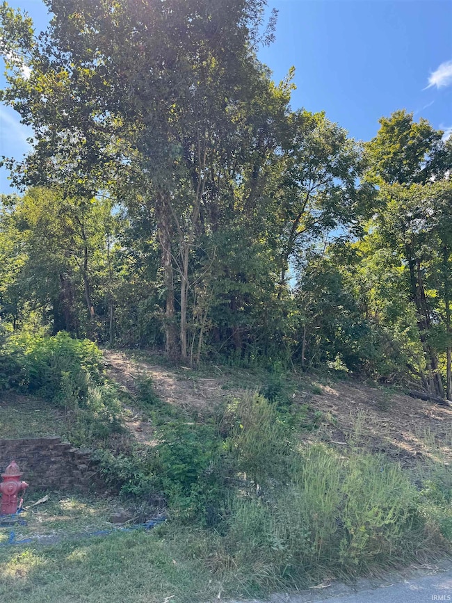 732 W Thornridge Way, Spencer, IN 47460 - photo 3