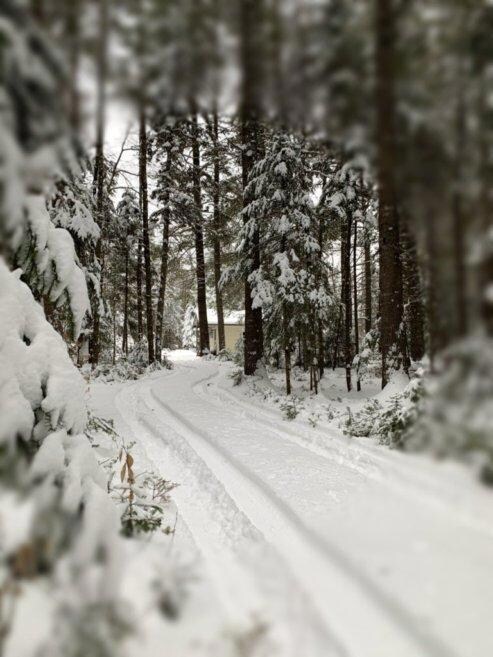Driveway to Camp