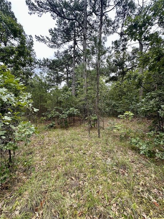 View of undeveloped land