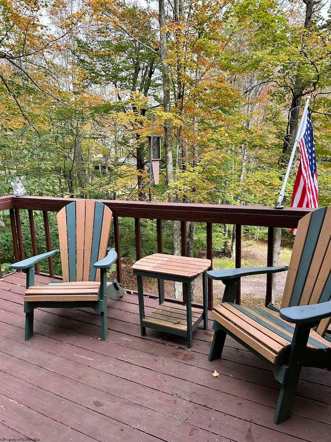 117 Hibernation Way, Davis, WV 26260 - photo 5