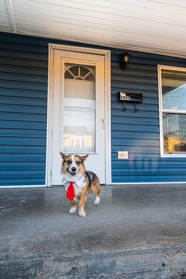 1035 E 13th Ave, Bowling Green, KY 42104 - photo 3