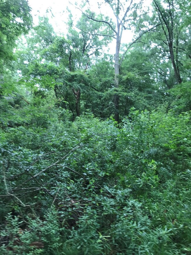 1106 Pike 93 N, McComb, MS 39648 - photo 4