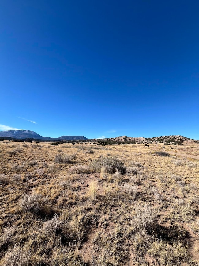 0 County Road 541 unit 95, Gardner, CO 81040 - photo 4