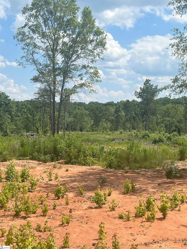 00 Casey Rd, Woodruff, SC 29388 - photo 2