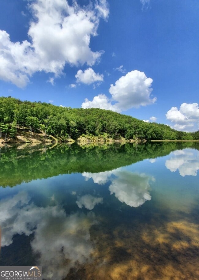 39 Adair Dr NE, Ranger, GA 30734 - photo 5