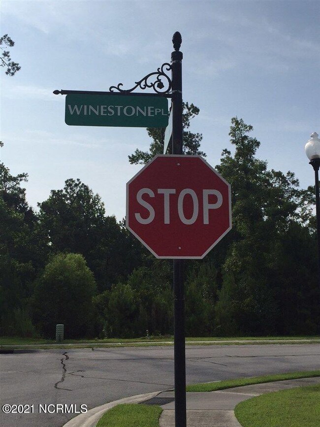 110 Winestone Place, Jacksonville, NC 28546 - photo 3