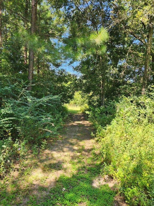 13465 Cedar Springs Rd, Blakely, GA 39823 - photo 4